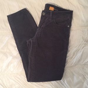 Pilcro Courdory Pants
